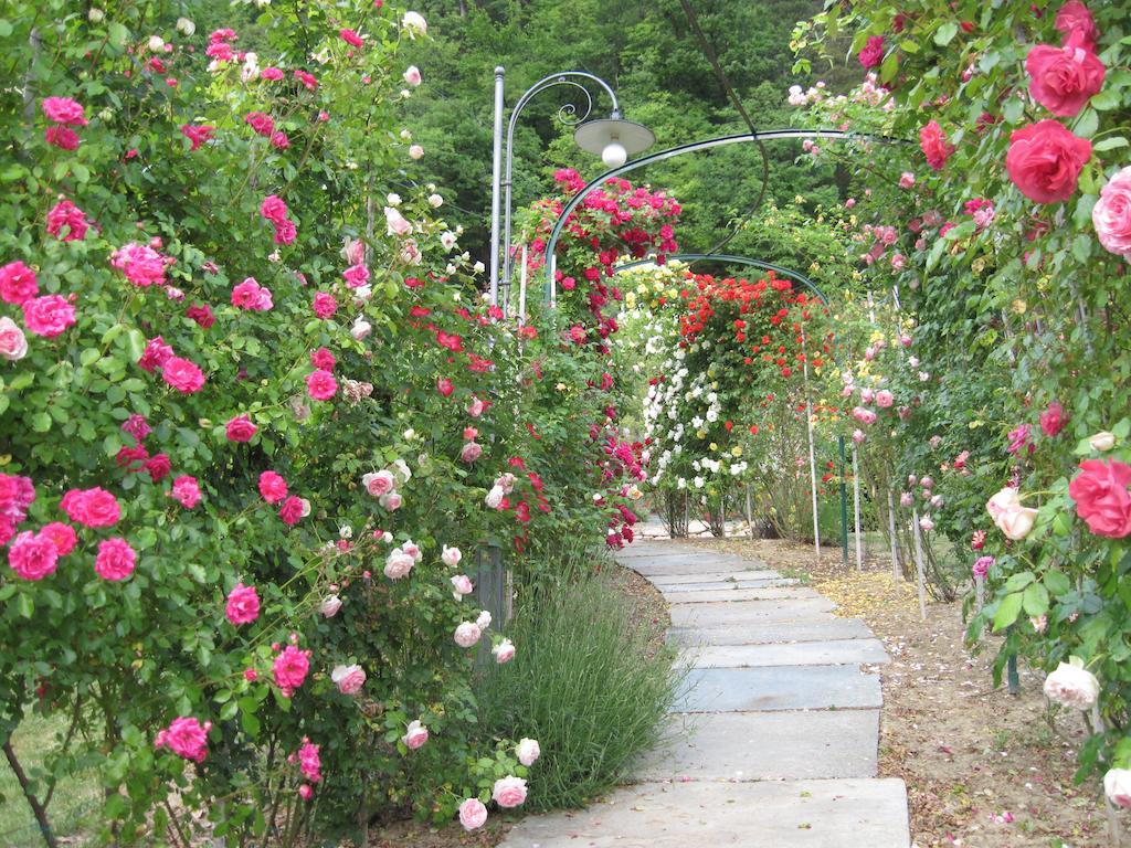 Castel Martino Villa Cortemilia ภายนอก รูปภาพ