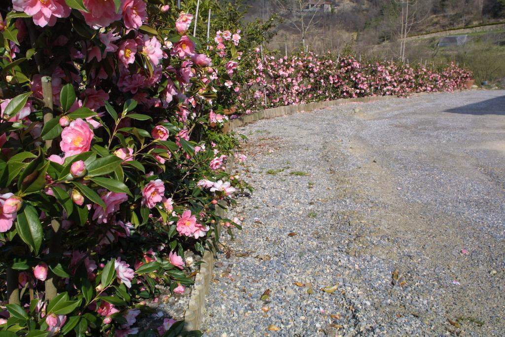 Castel Martino Villa Cortemilia ภายนอก รูปภาพ