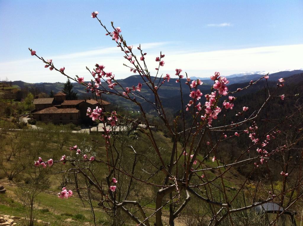 Castel Martino Villa Cortemilia ภายนอก รูปภาพ